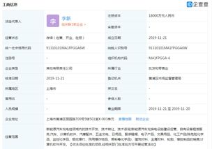 国家电网与广汇汽车合资公司在上海揭牌，聚焦计算机软件开发赋能新能源汽车