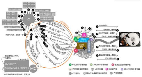 聊聊计算机系统原理与软件开发